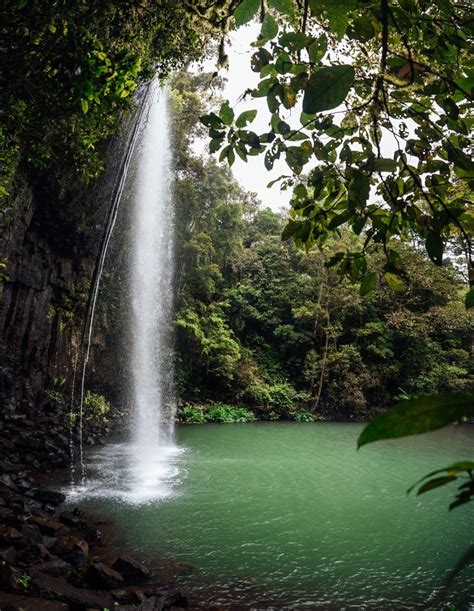 mila mila falls|atherton tableland waterfalls.